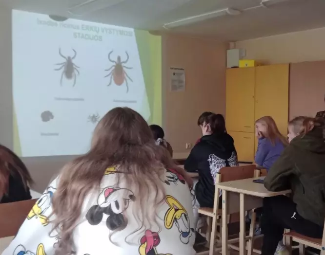 Atsargiai – erkės!