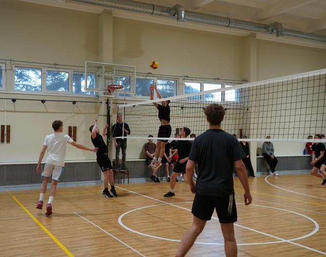 Panevėžio regiono gimnazijų ir profesinio mokymo įstaigų vaikinų tinklinio turnyras