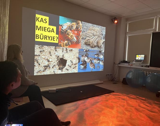 Nuo čiurlių iki miegapelių: sensorinė pažintis su gyvūnų pasauliu