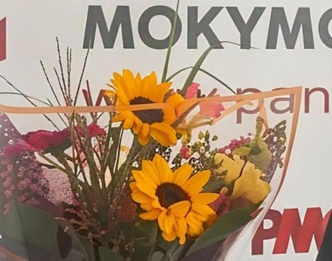 Ačiū už matymą plačiau