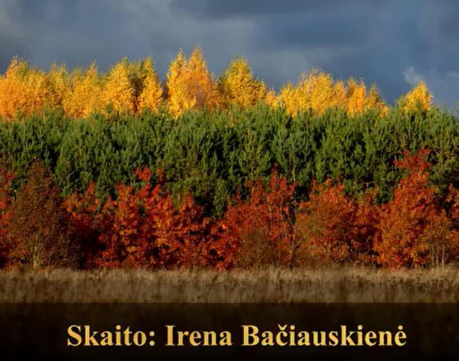 Pasaulinė poezijos diena – Justino Marcinkevičiaus eilėmis