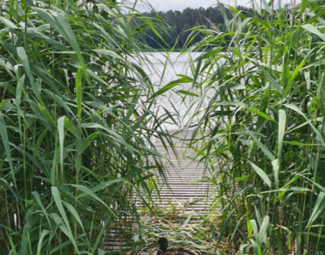 Paroda „Rudens spalvos pro foto objektyvą” 